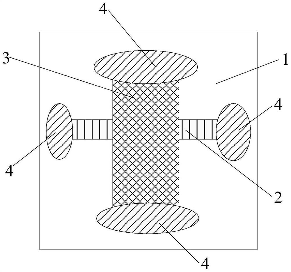 Schottky gate field effect transistor based on two-dimensional size cutting and preparation method thereof