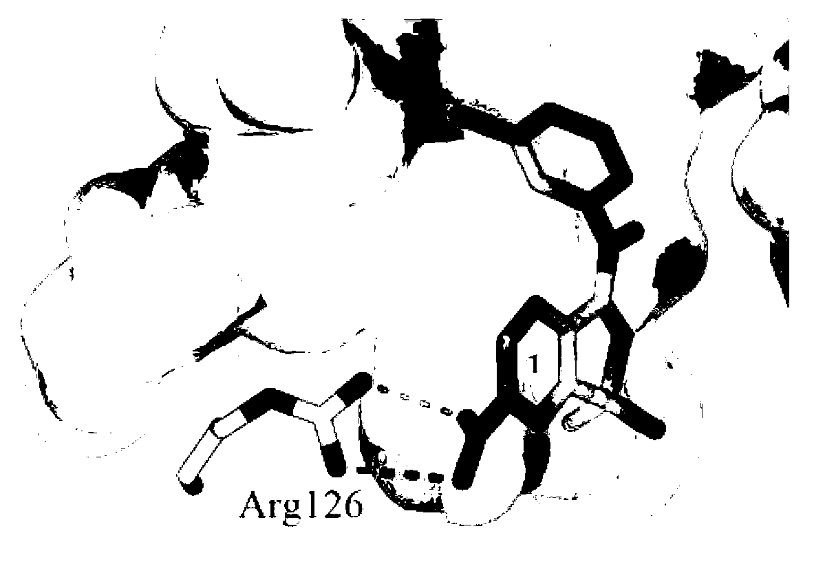 Benzisoxa thiazoles 5-LOX and mPGES-1 inhibitor and application