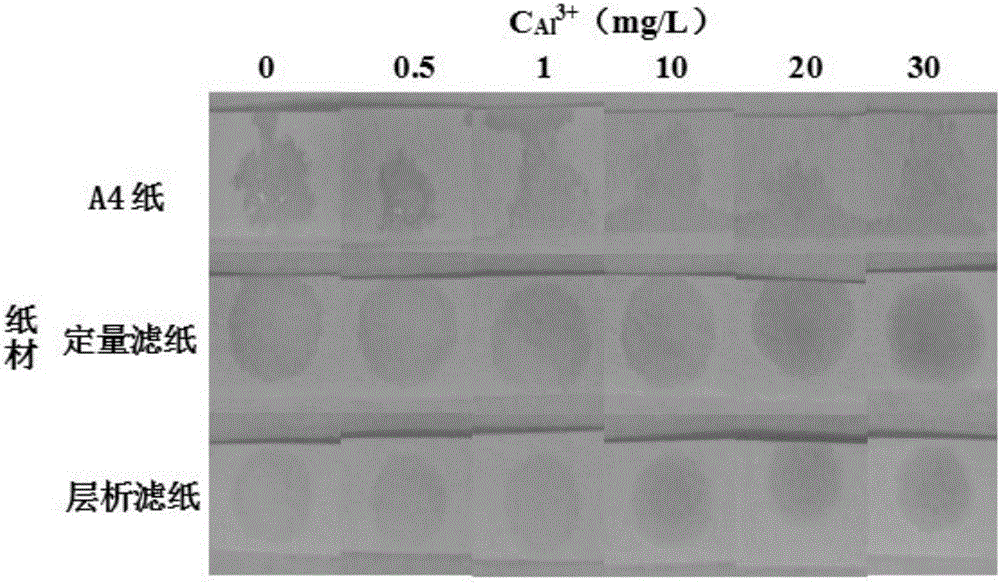 Ready-to-use test paper for rapid assessment of content of aluminum elements in food, and use method and application thereof