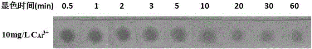 Ready-to-use test paper for rapid assessment of content of aluminum elements in food, and use method and application thereof