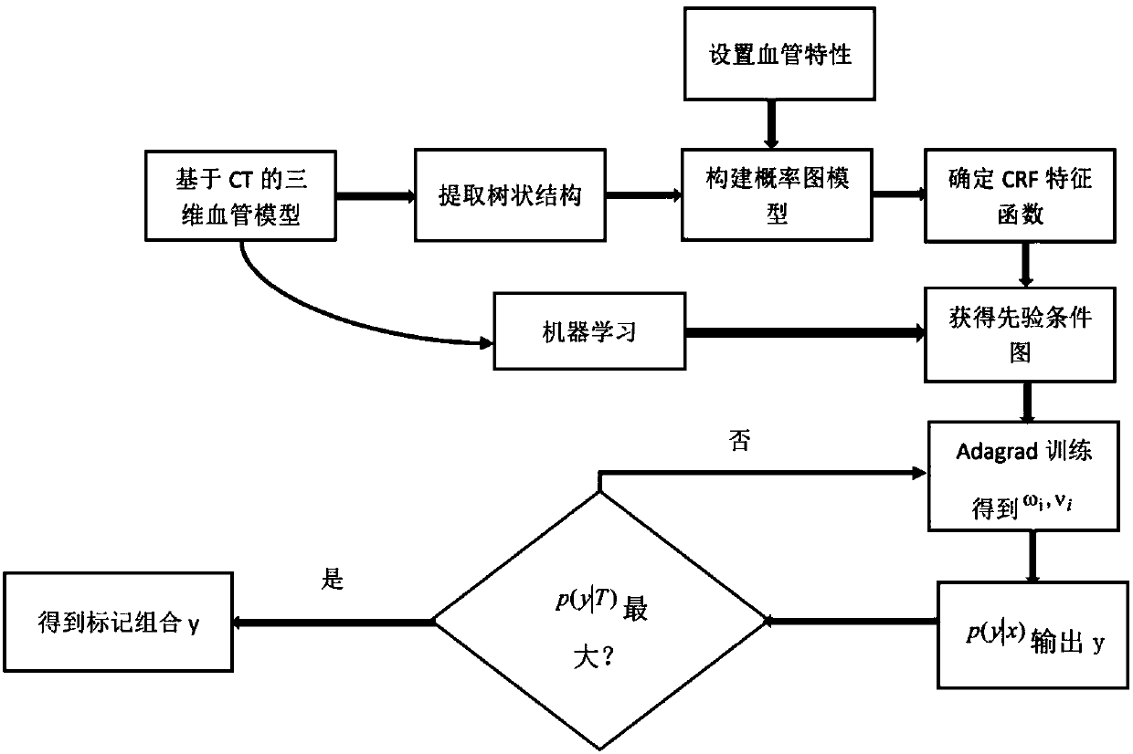 Automatic artery-vein name identifying method which is based on conditional random fields and used for gastric-carcinoma endoscope operation real-time navigation system