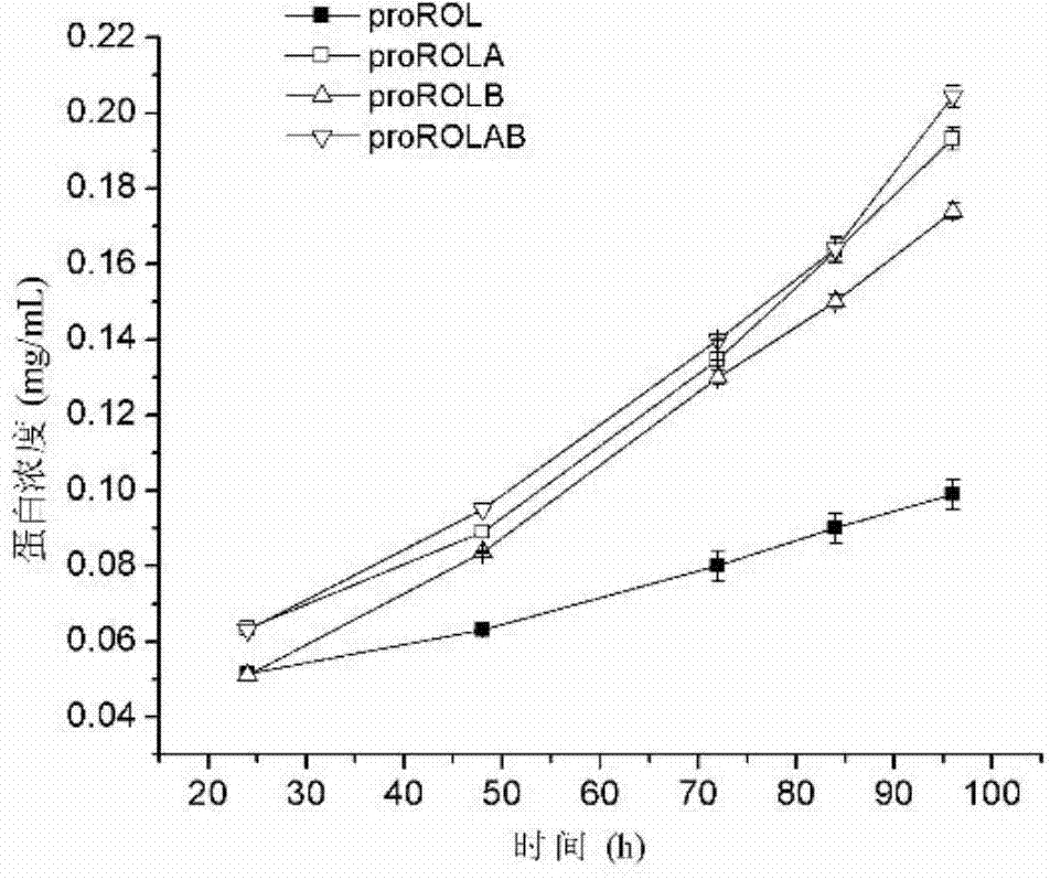 Method for increasing lipase expression through glycosylation modification as well as mutant enzyme and application thereof