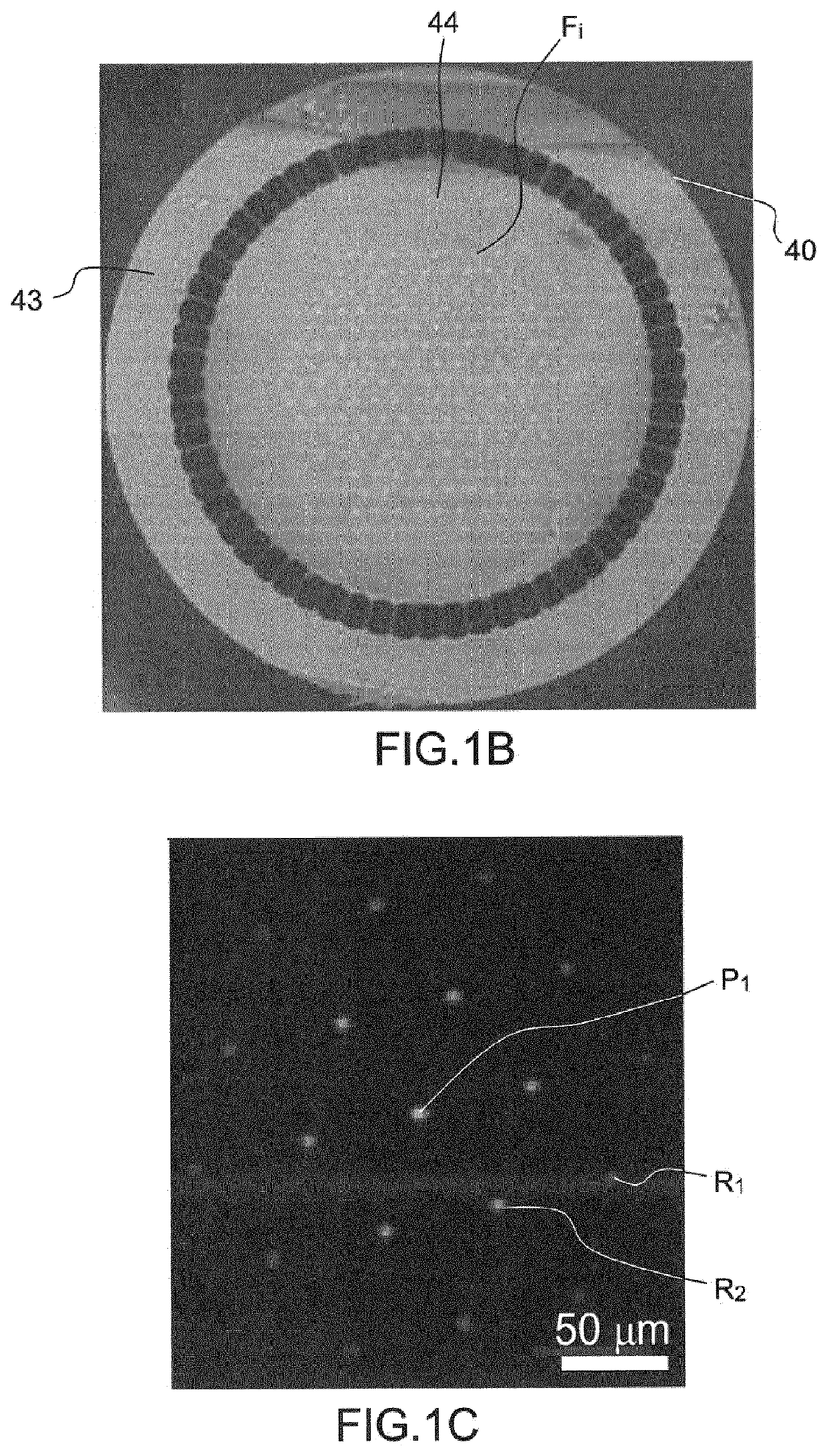 Devices and methods for conveying and controlling light beams for lensless endo-microscopic imagery