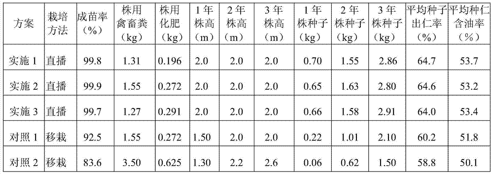 A kind of Jatropha curcas direct seeding fast-growing cultivation method