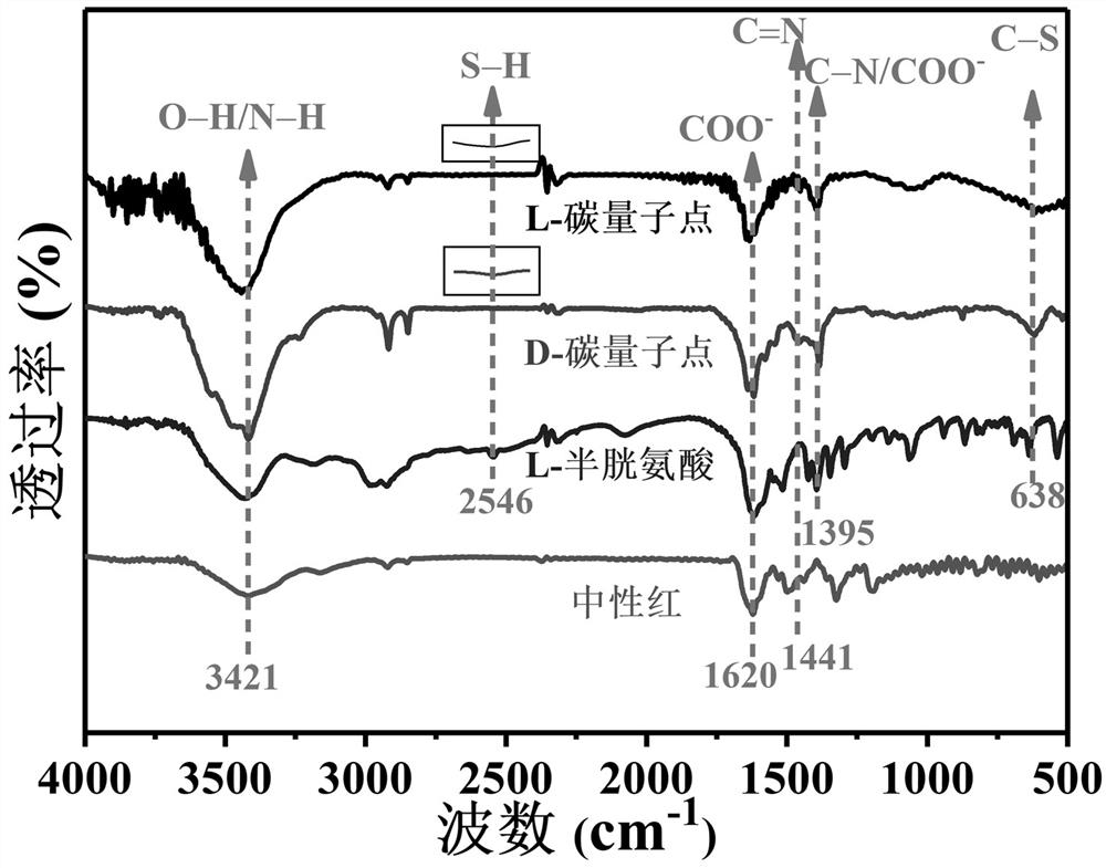 Orange-light carbon quantum dots as well as preparation and application thereof