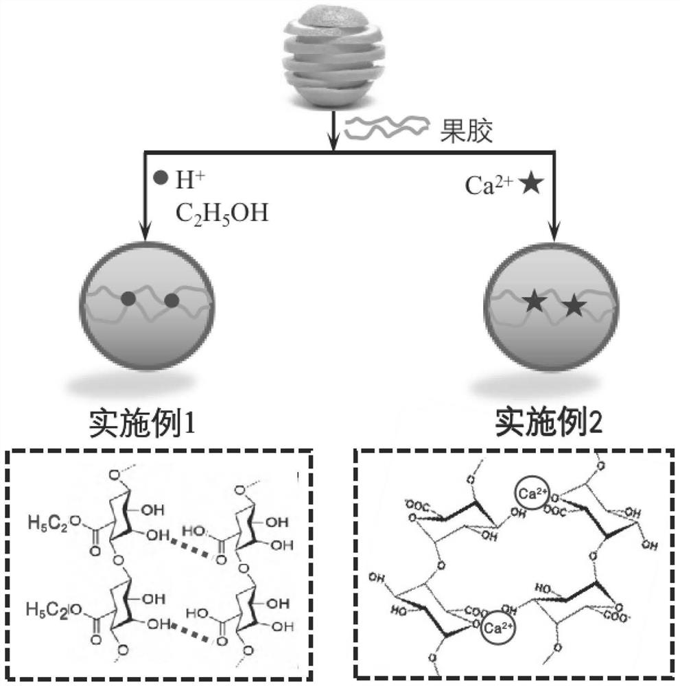 Emulsion gel bead for realizing targeted release of flavone at different parts and preparation method of emulsion gel bead