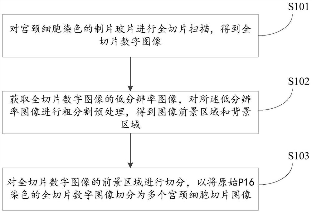 Cervix uteri abnormal cell recognition method and device and electronic equipment