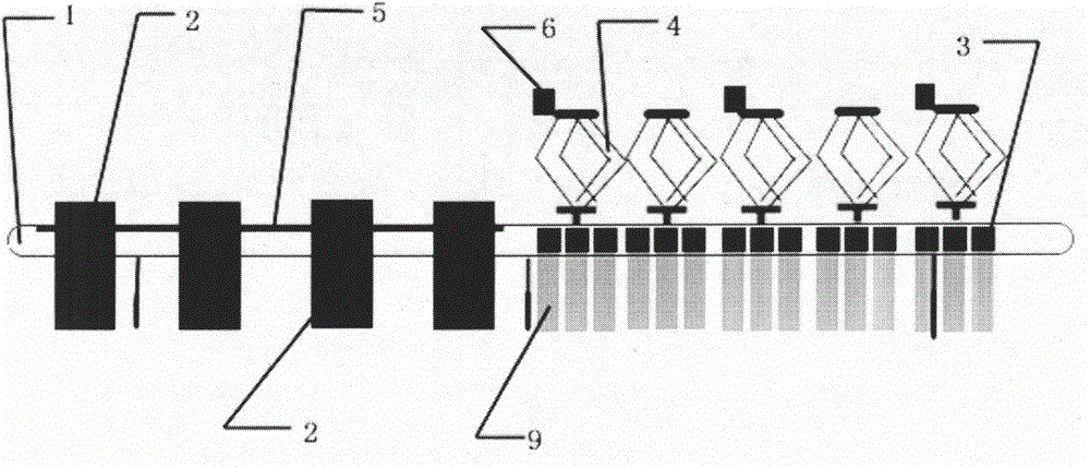 Garbage sorting production line