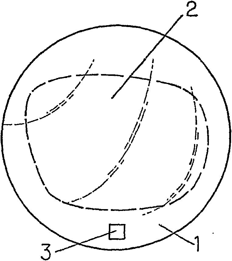 Method for recording data in a holographic form on a lens and a corresponding lens