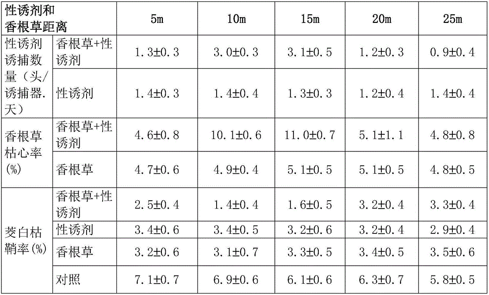 Method for improving sesamia inferen control effect by coordinative application of trap crop and sex attractant