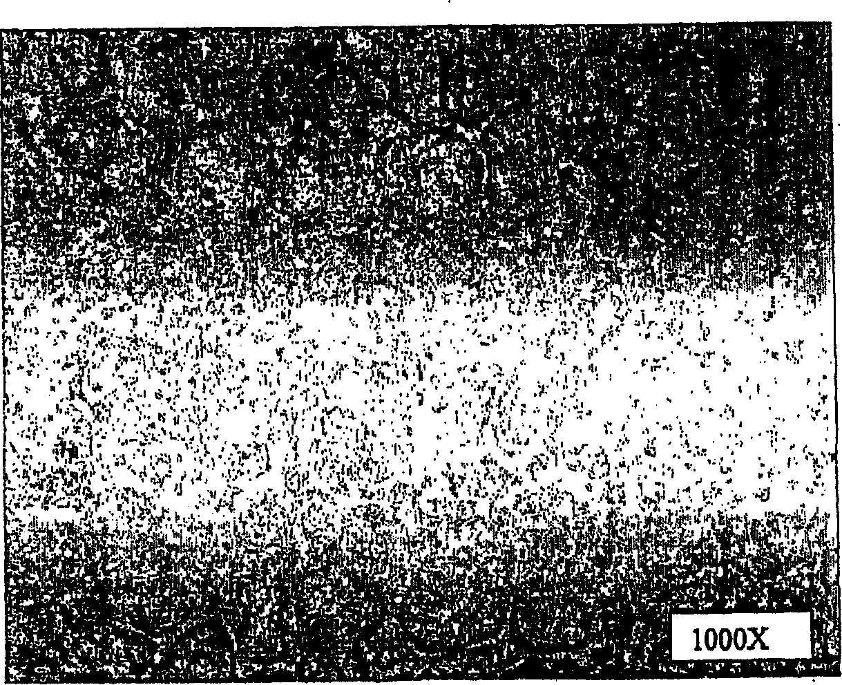 Corrosion and wear resistant alloy