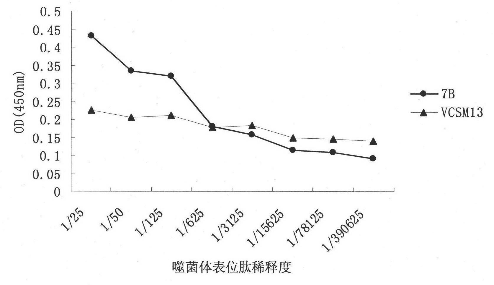 Mimic short peptide 7B of endothelial cell growth factor VEGF antigen epitope and application thereof