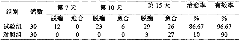 A kind of anti-pigeon pox traditional Chinese medicine composition and preparation method of oral liquid thereof