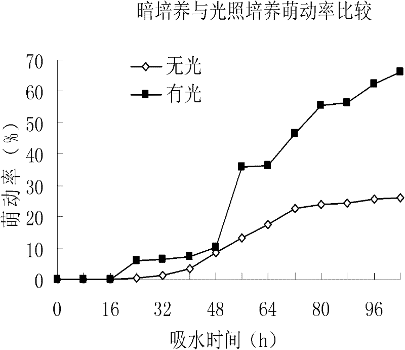 Hydro-priming method for Chinese pine seeds