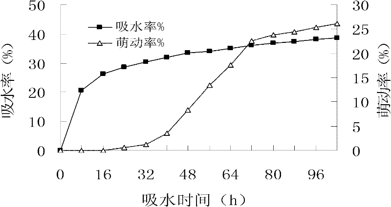 Hydro-priming method for Chinese pine seeds