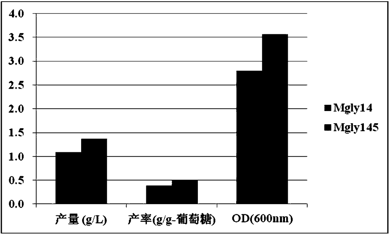 Method for improving yield of glycolic acid in Escherichia coli