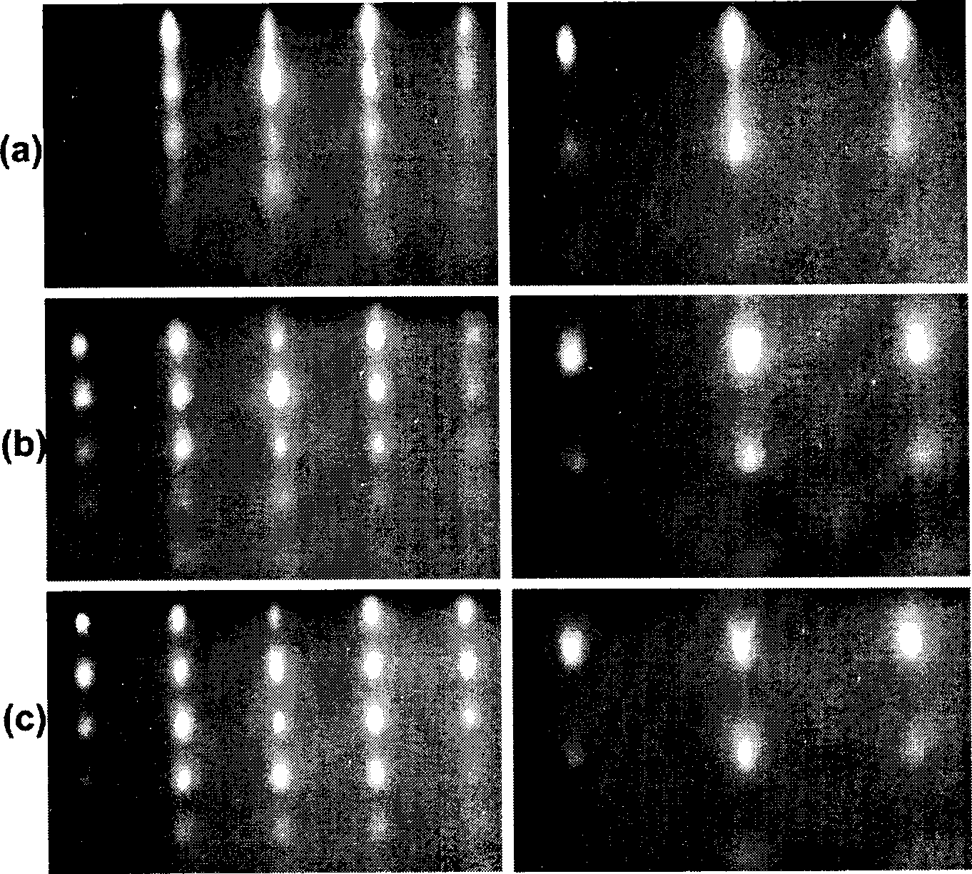 Method for preparing MgZnO single crystal film