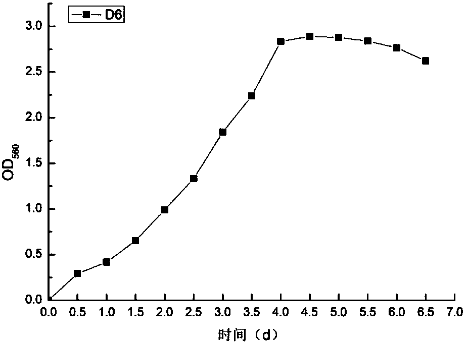 Strain of paracoccus versutus and method for treating byproduct single cell protein in high ammonia nitrogen wastewater treatment