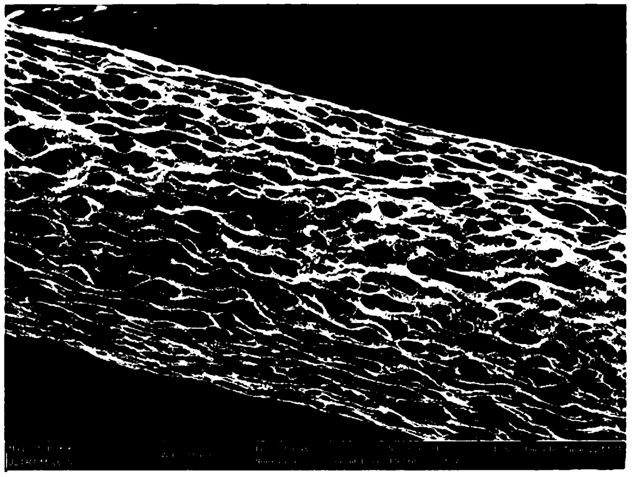 A method for rapidly preparing ultrafine porous fibers