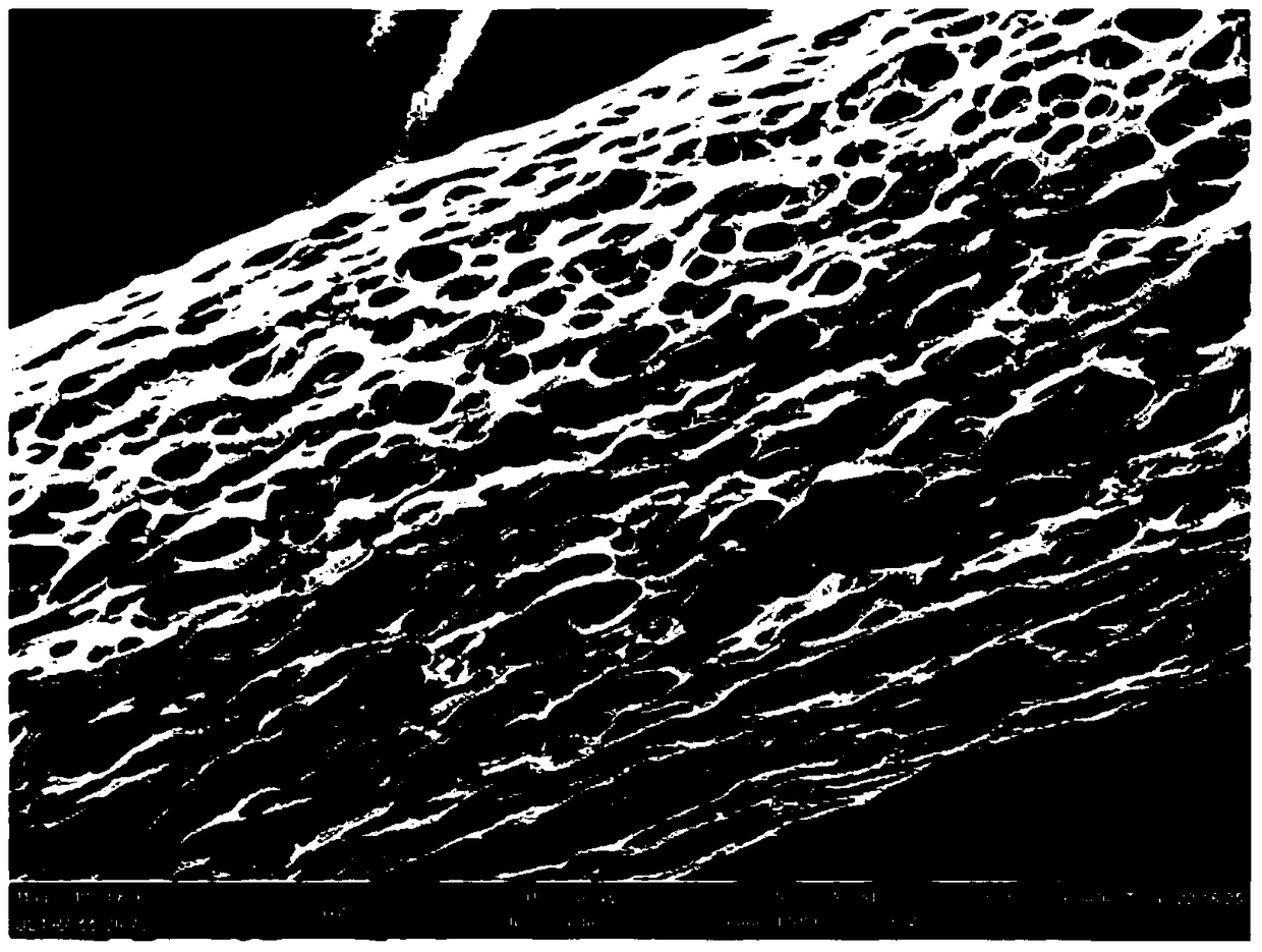 A method for rapidly preparing ultrafine porous fibers