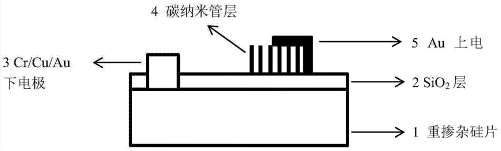 Vacuum pump for preventing water vapor corrosion