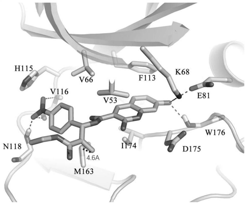 Novel protein kinase inhibitor, preparation method and application thereof