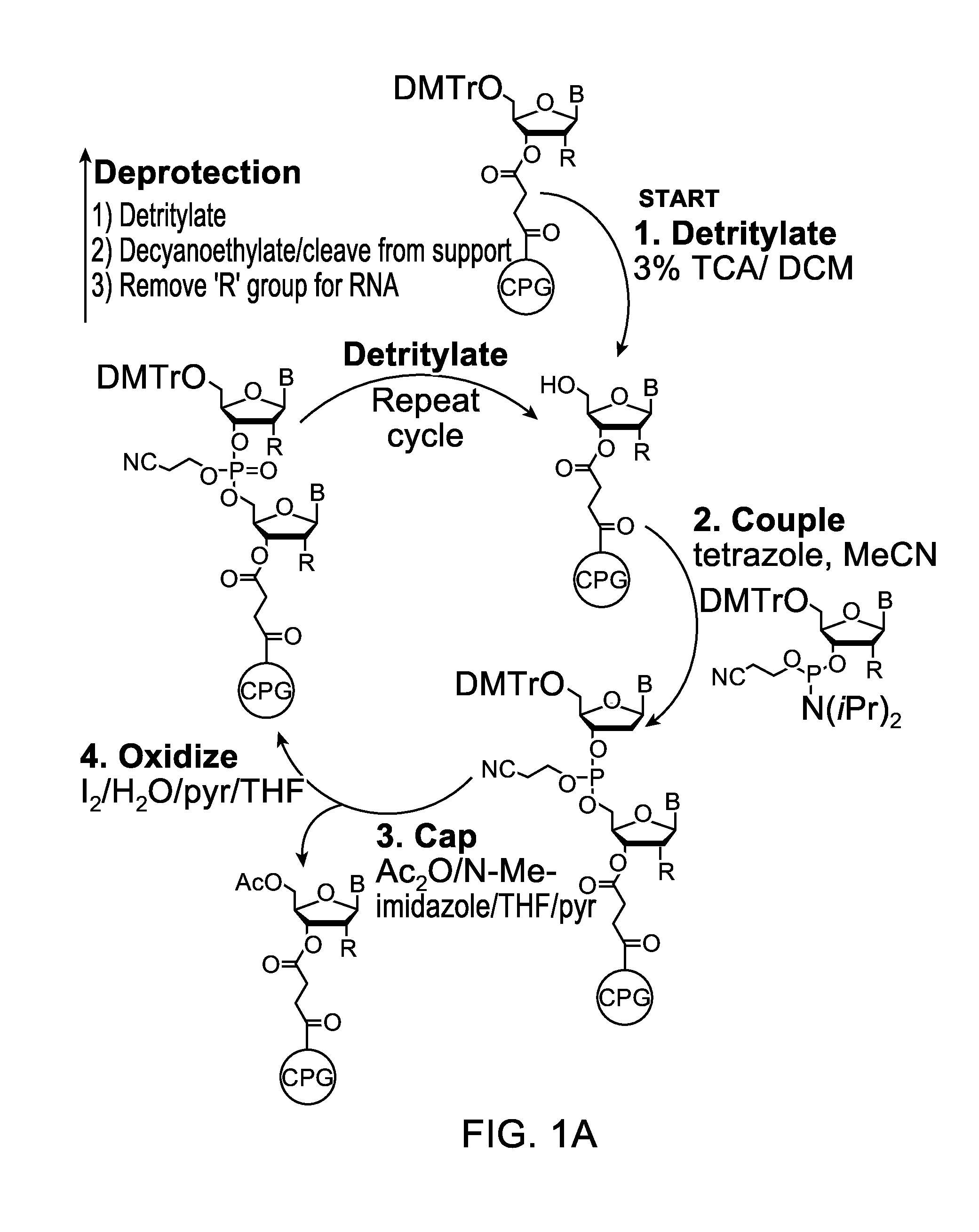 Novel methods for the synthesis and purification of oligomers