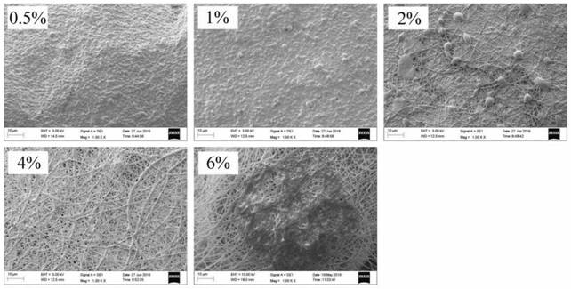 Collagen coating on porous titanium surface and preparation method thereof