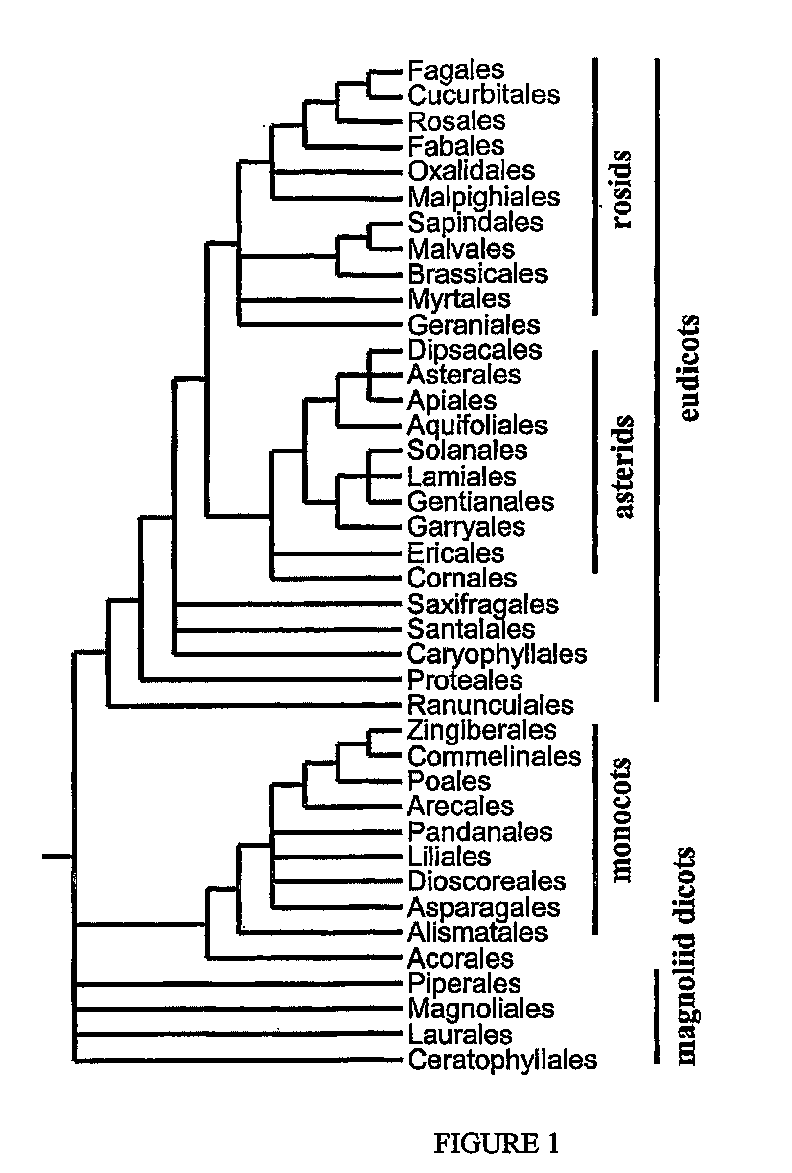 Polynucleotides and polypeptides in plants