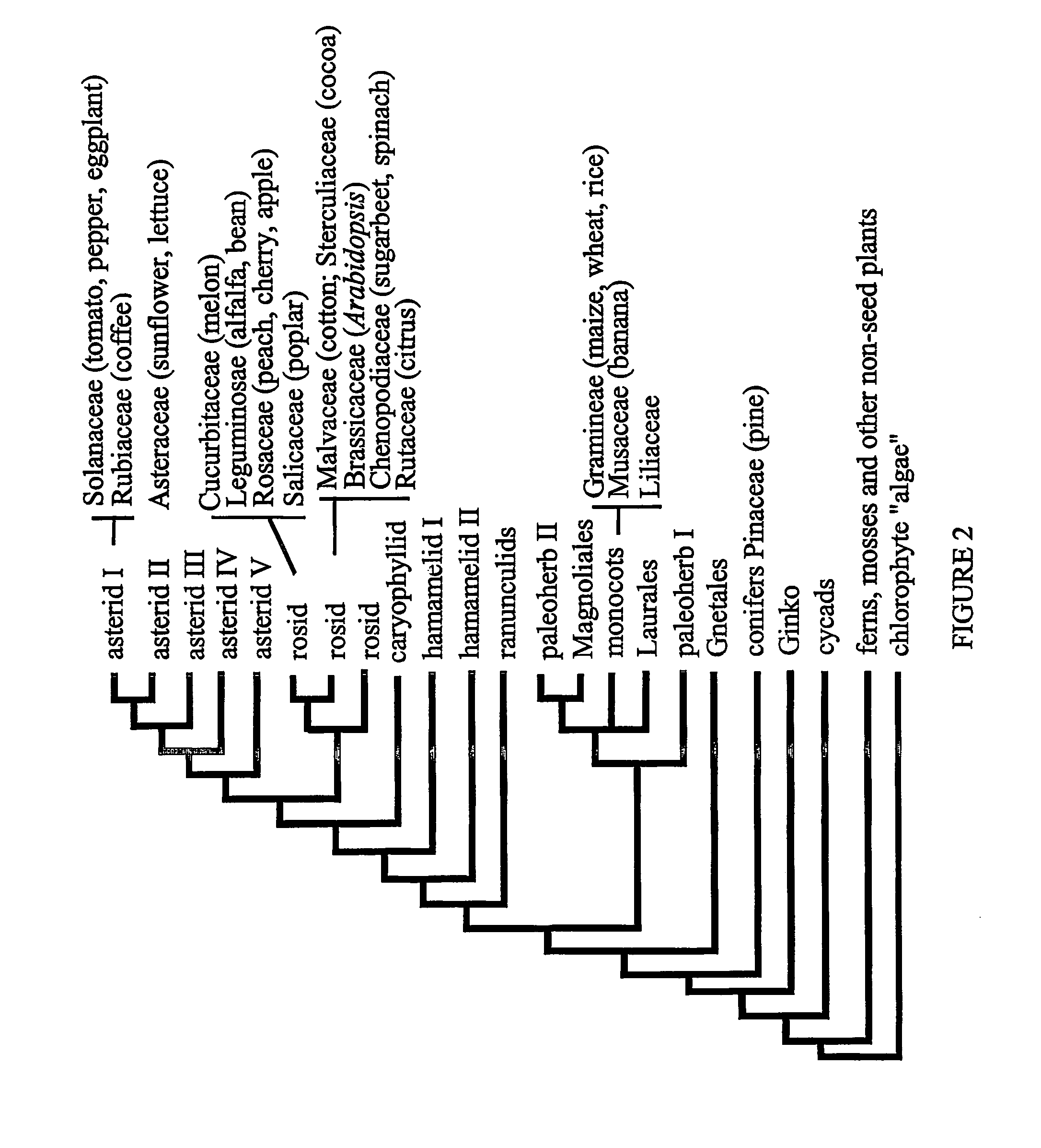 Polynucleotides and polypeptides in plants