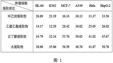 Limonium franchetii antineoplastic active constituent extract and preparation method and application thereof