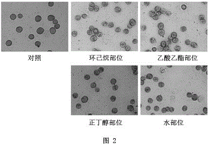 Limonium franchetii antineoplastic active constituent extract and preparation method and application thereof