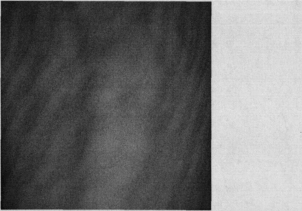 Opisthenar-vein identity recognition method based on combination of local macroscopic and microscopic characteristics