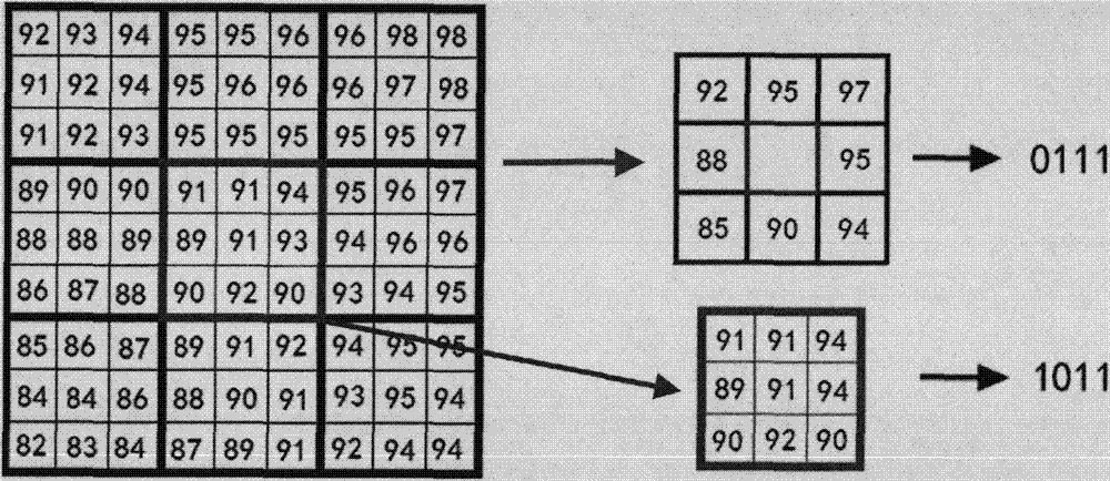 Opisthenar-vein identity recognition method based on combination of local macroscopic and microscopic characteristics