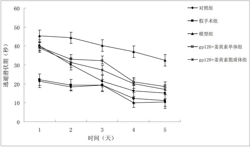 Borneol-curcumin liposome and preparation method and application thereof