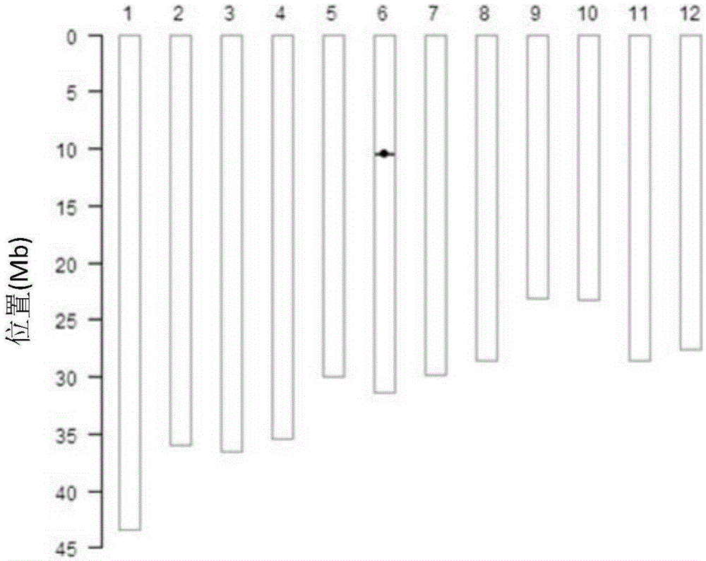 Recombinant nucleic acid fragment RecCR012083 and detection method thereof