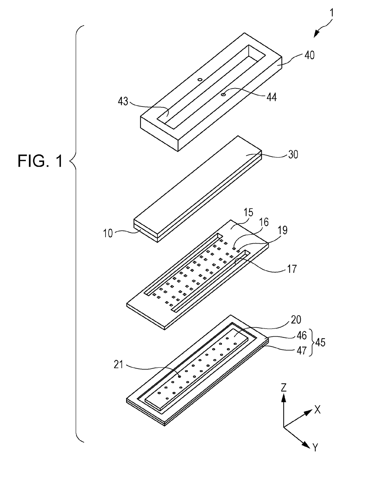 Head and liquid ejecting apparatus