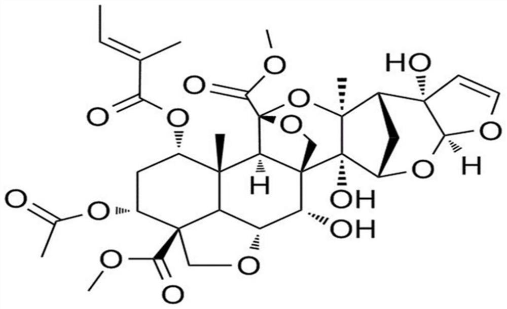 Effect of azadirachtin on preparation of medicament for promoting survival of ischemic ultralong random skin flap