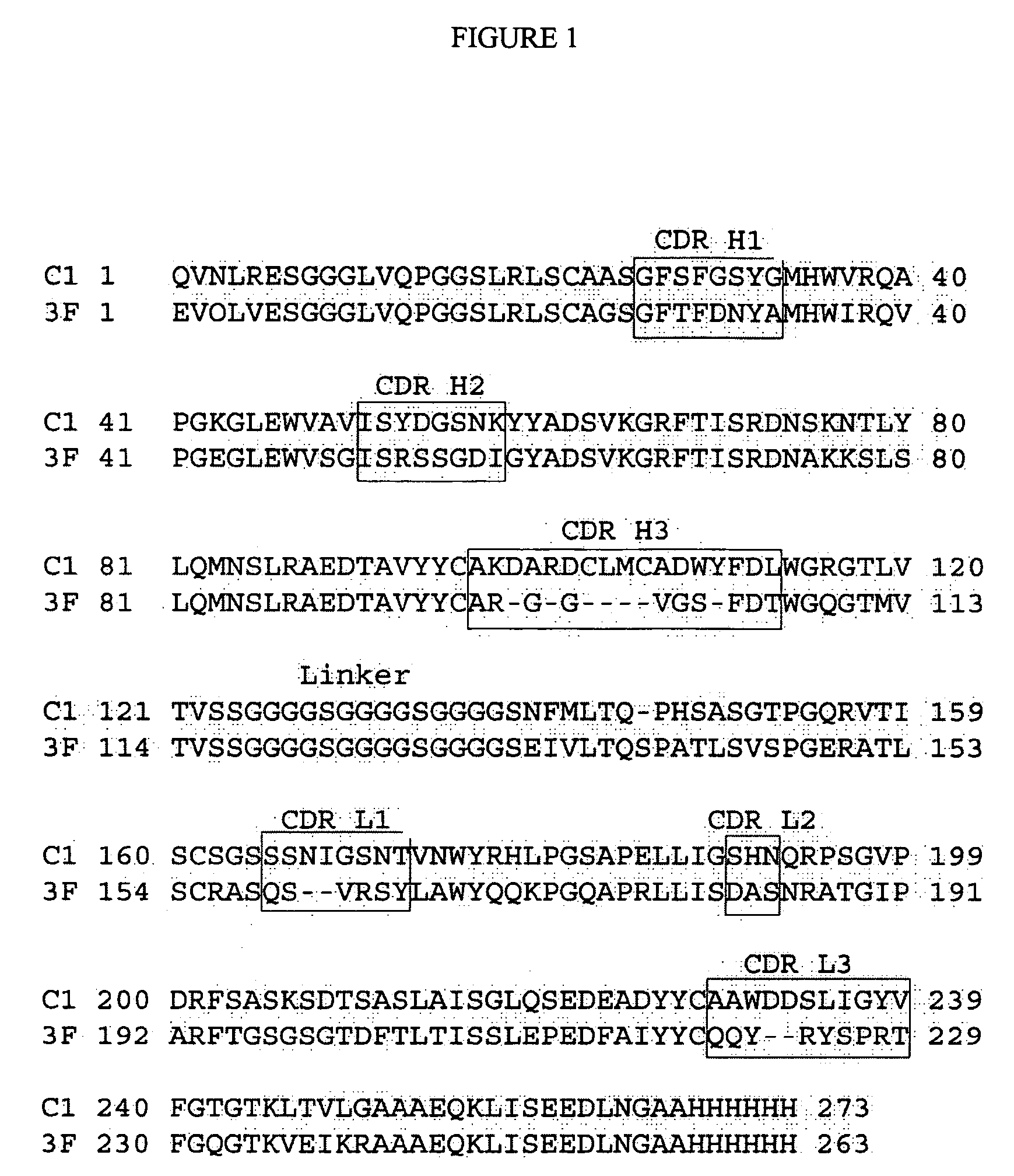 Human antibodies that specifically recognize the toxin Cn2 from Centruroides noxius scorpion venom