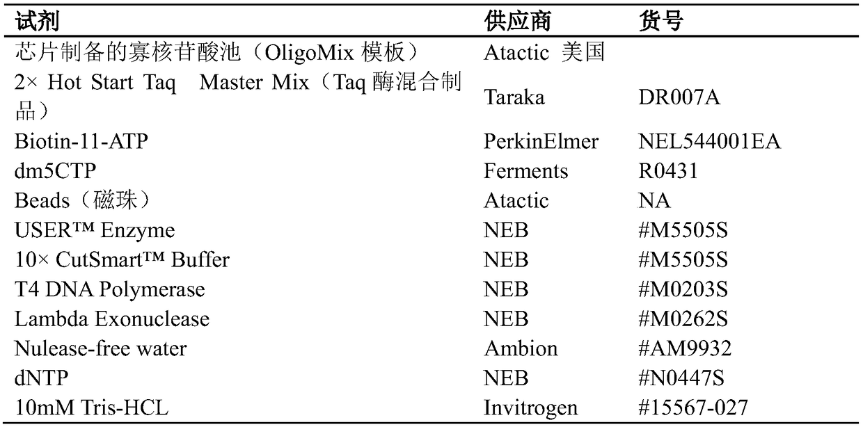 A preparation method of modified dna hybridization probe for targeted hybridization capture