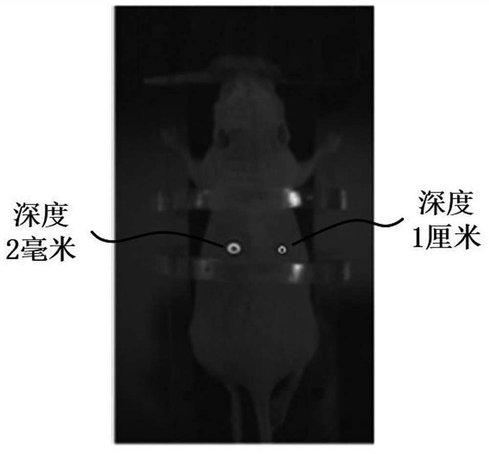 Reconstruction method of fluorescence molecular tomography based on magnetic particle imaging prior guidance