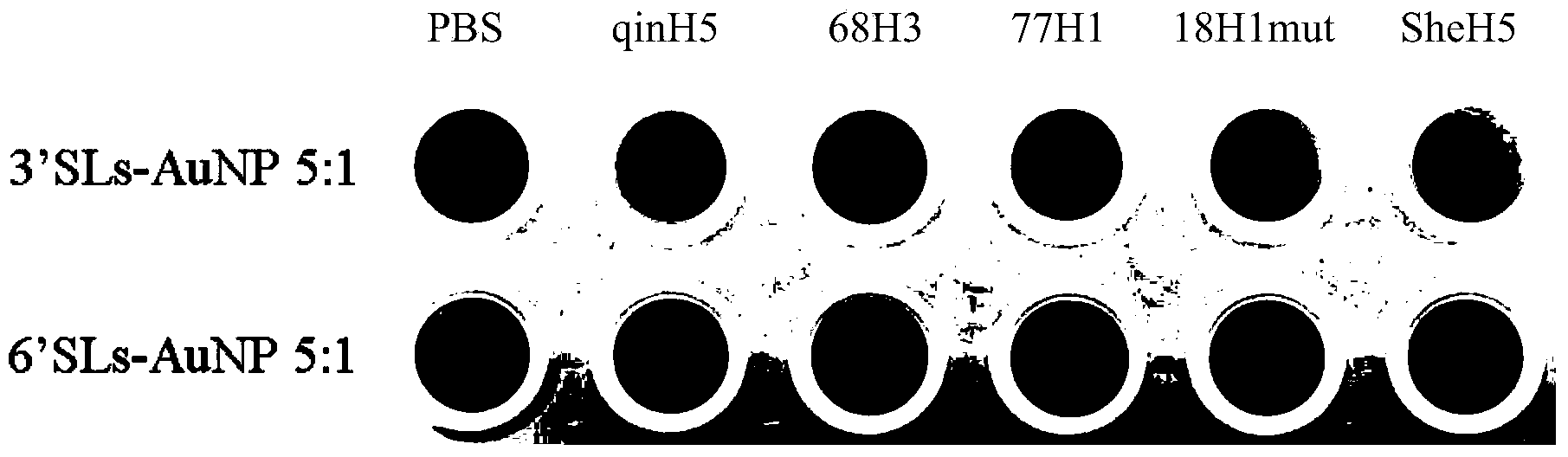 Sialyloligosaccharide-gold nano particle and preparation method and applications thereof