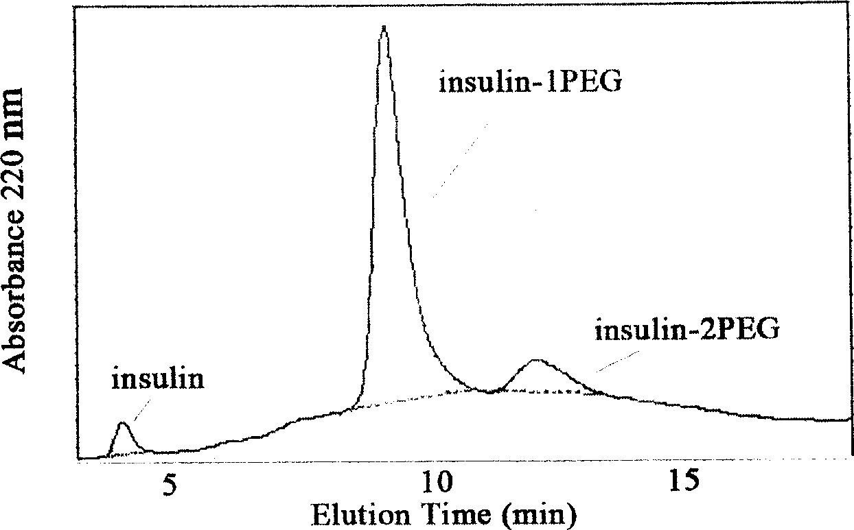 Monomodified PEGylated insulin and its preparation method