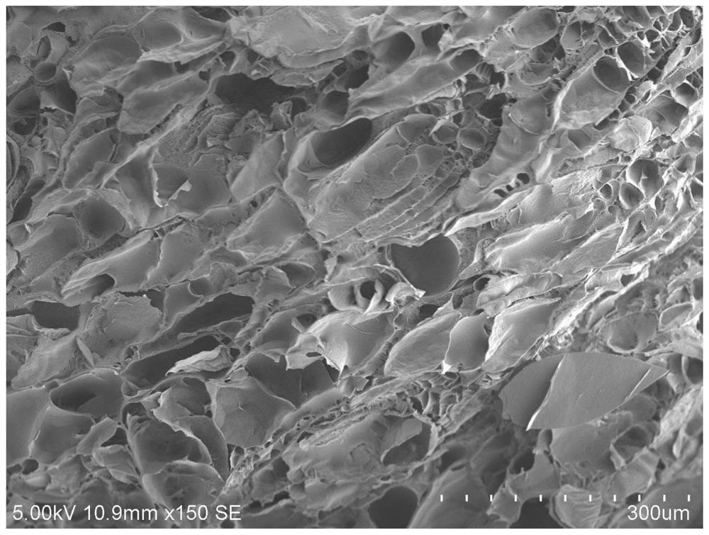 A silk fibroin/gelatin interpenetrating network hydrogel capable of cell encapsulation and its preparation method