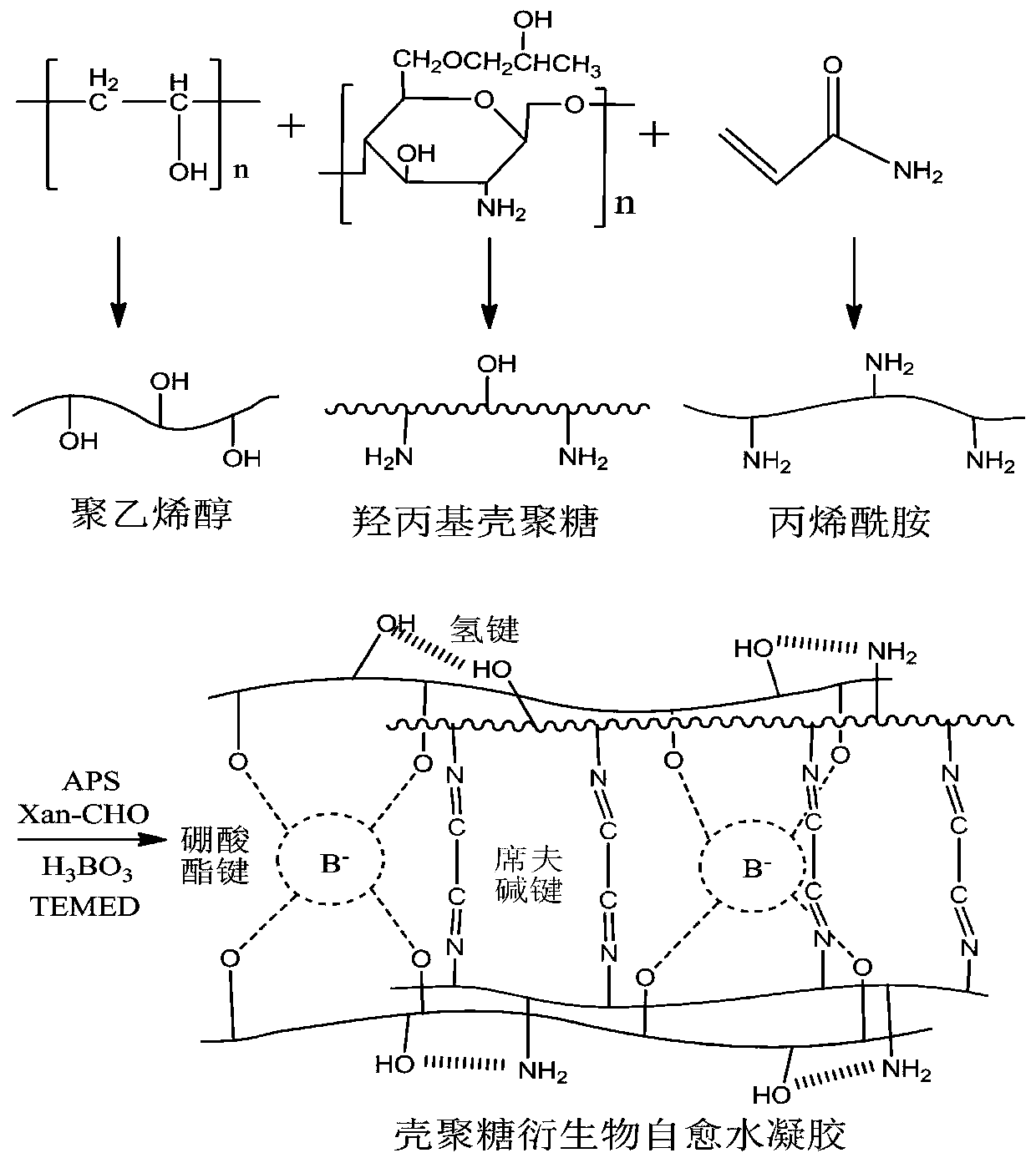 Chitosan derivative self-healing hydrogel and preparation method and application thereof