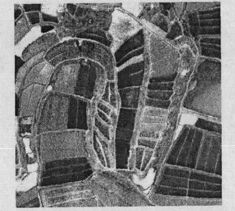 Method for evaluating influence of information hiding capacity on measurement precision of remote sensing image