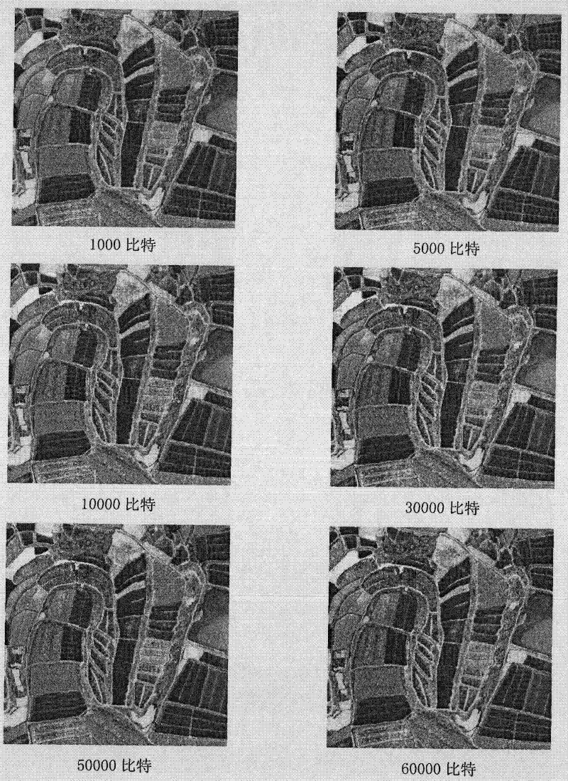 Method for evaluating influence of information hiding capacity on measurement precision of remote sensing image