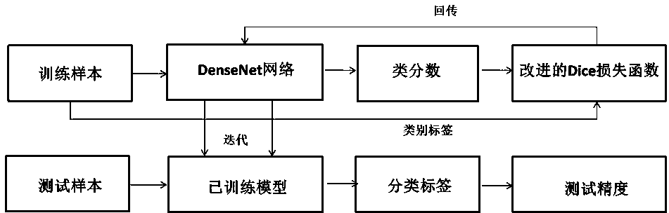 Video image distortion effect model construction method based on improved dice loss function