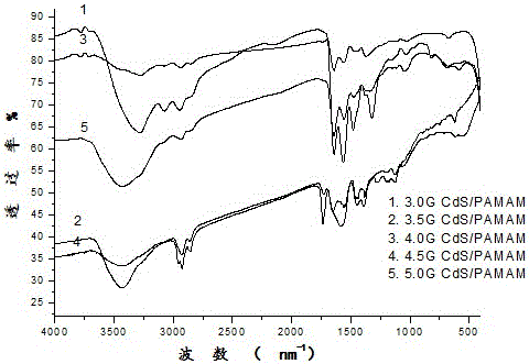 Preparation and application of CdS-PAMAM nanocomposite in detecting Cu2+