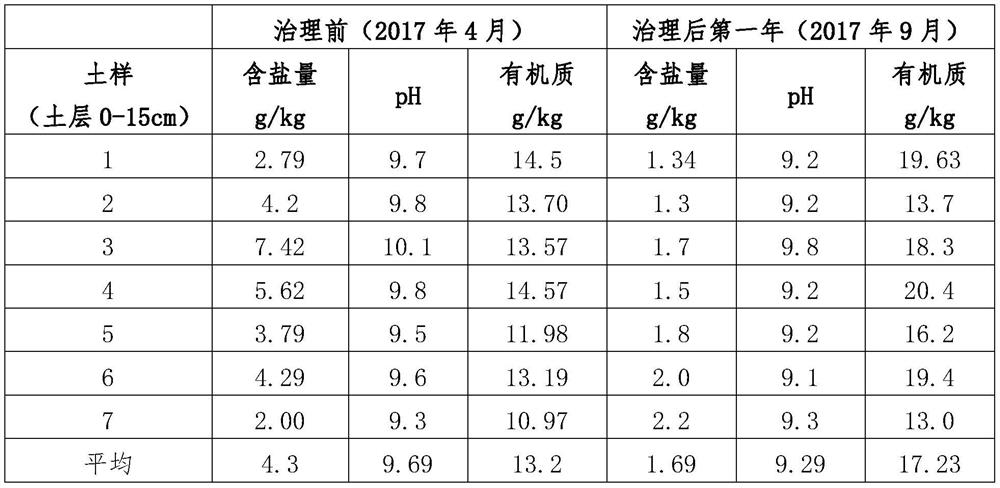 Soil improver for paddy fields in soda saline-alkali land and preparation method thereof